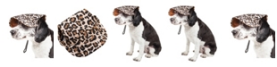 Pet Life 'Cheetah Bonita' Cheetah Patterned UV Protectant Adjustable Dog Hat Cap